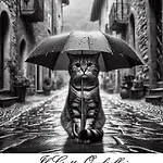 Il Gatto Ombrellaio - Gateway To Stresa, Maggiore And Mountains