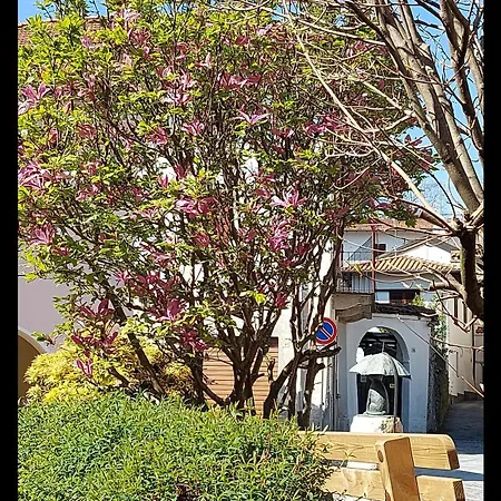 Il Gatto Ombrellaio - Gateway To Stresa, Maggiore And Mountains Holiday home Stropino