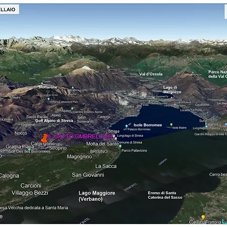 Il Gatto Ombrellaio * Stropino